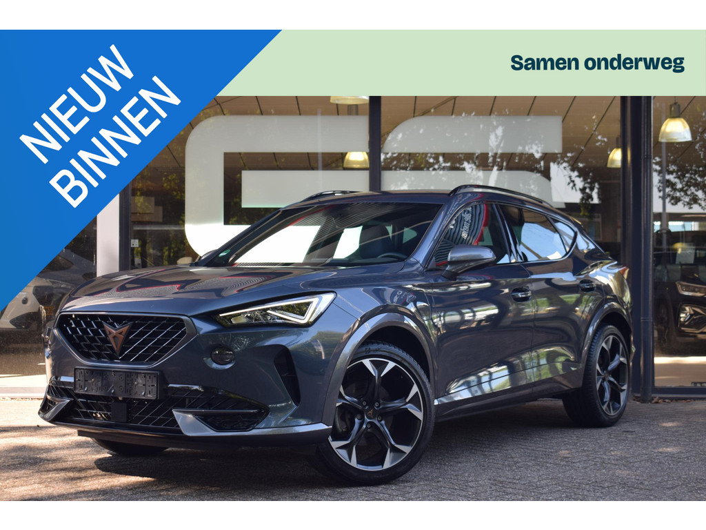 55952682