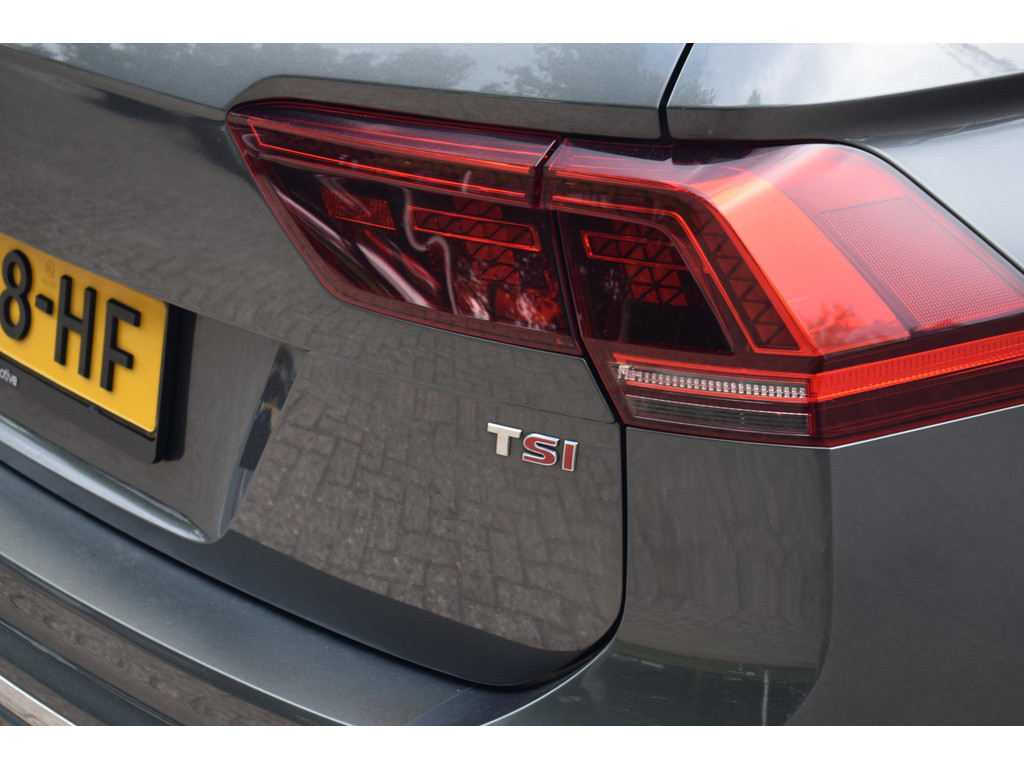56434100-10.jpg